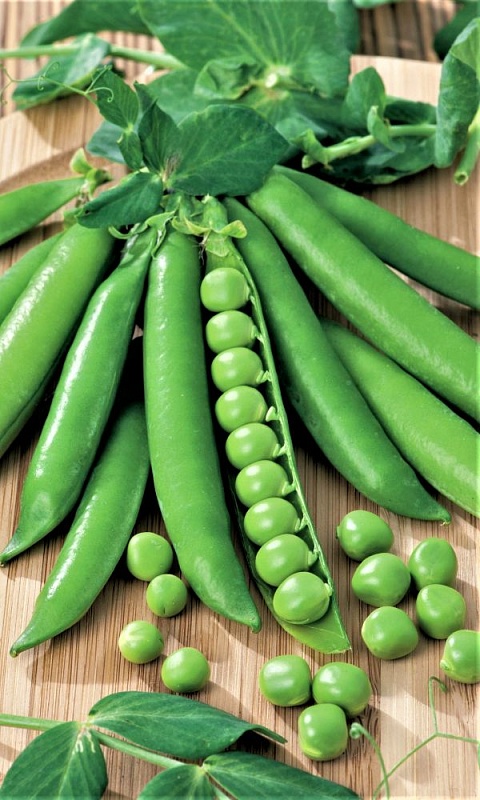 Горох Победитель Г 33 - сахарный (УД) 8 гр цв.п.