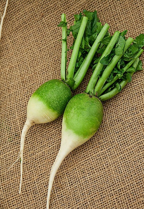 Редька китайская Маргеланская 1 гр цв.п.