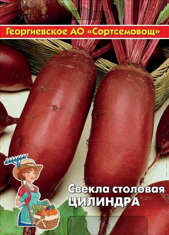 Свекла Цилиндра 5 гр цв.п (Сортсемовощ)