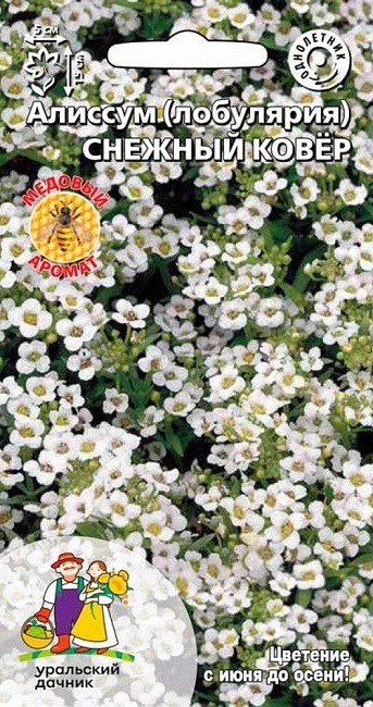 Алиссум (лобулярия) Снежный ковер (УД) 0,1 гр цв п