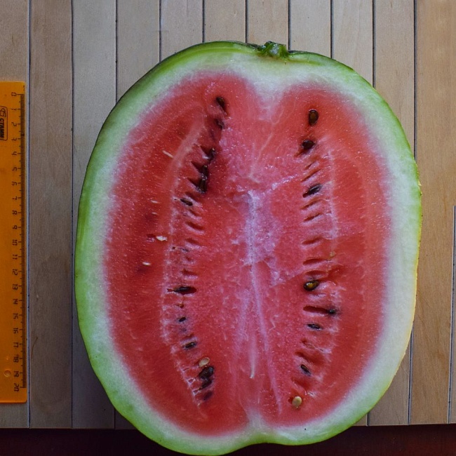 Арбуз Лапландия (Функциональное питание) 3 шт