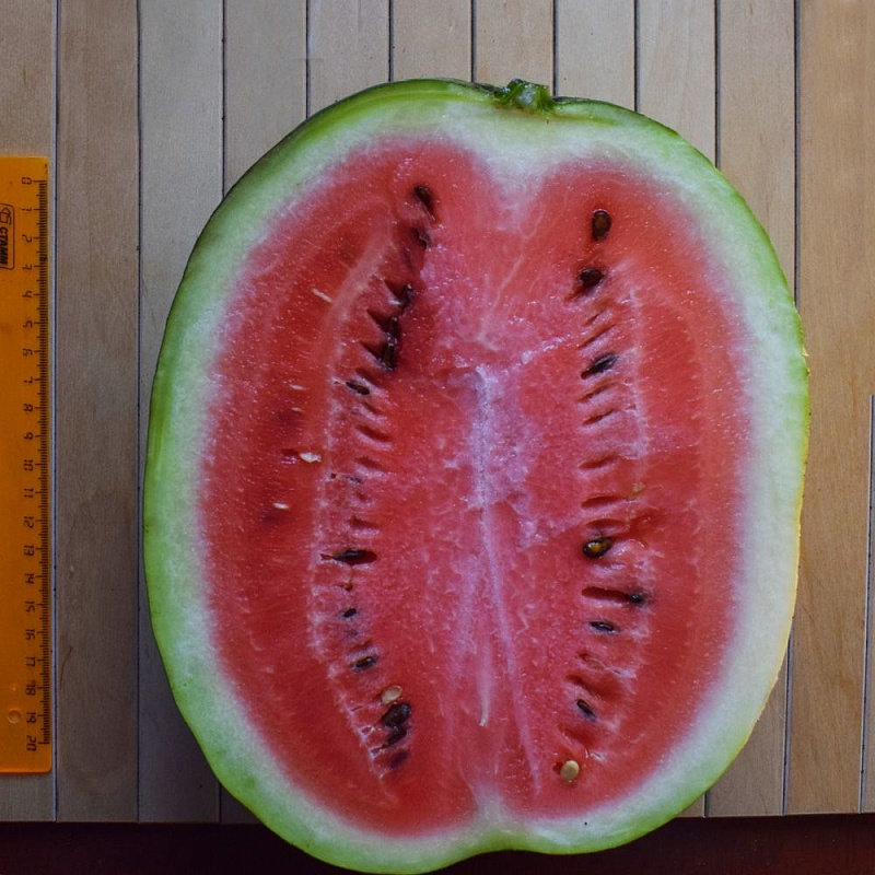 Арбуз Лапландия (Функциональное питание) 3 шт