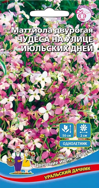 Маттиола Двурогая Чудеса на улице июльских дней (УД) 0,25 гр цв п