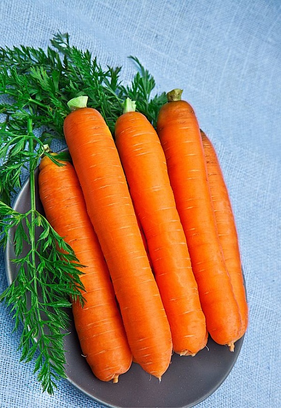 Морковь Лосиноостровская 13  (Гранулы) 300 шт