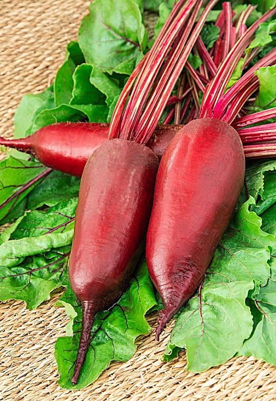 Свекла Нежность 2 гр цв.п