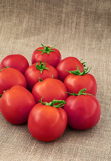 Томат Как на подбор (Селекция "ВХ") 0,03 гр цв.п КЭШБЭК 25%