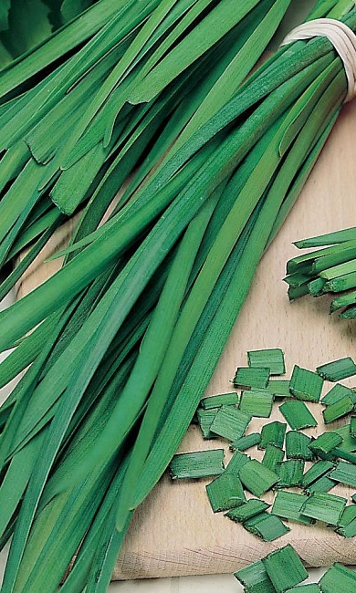 Лук на зелень Казачок (УД) 0,25 гр цв.п.