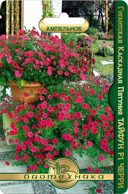 Петуния гигантская каскадная Тайфун F1 Черри 5 шт