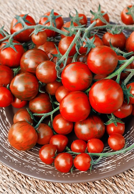 Томат Арапчонок (Селекция "ВХ") F1 0,05 гр цв.п