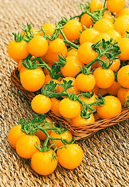 Томат черри Вишня желтая 0,03 гр цв.п