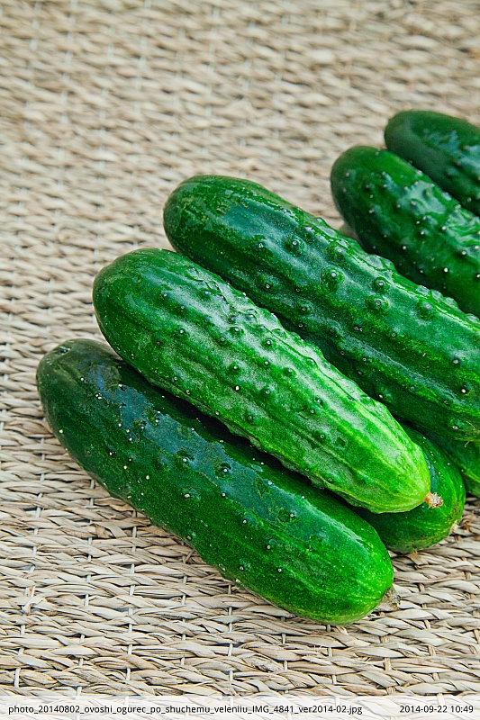 Огурец По-щучьему велению F1 0,25 гр цв.п.