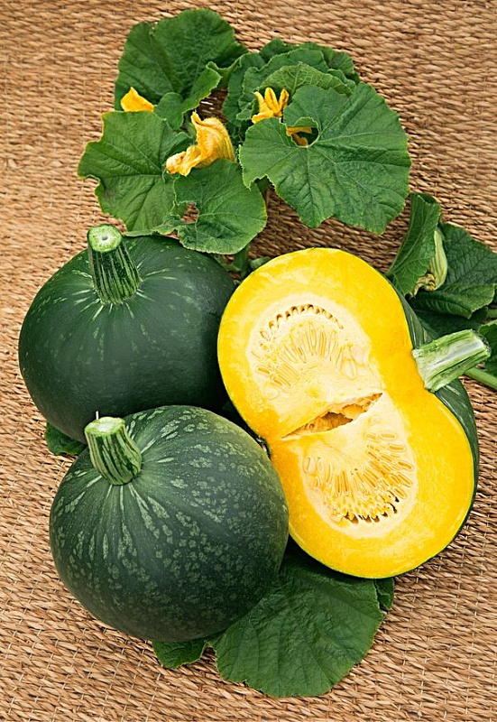 Тыква крупноплодная Ворожея (Селекция "ВХ") 2 гр. цв.п.