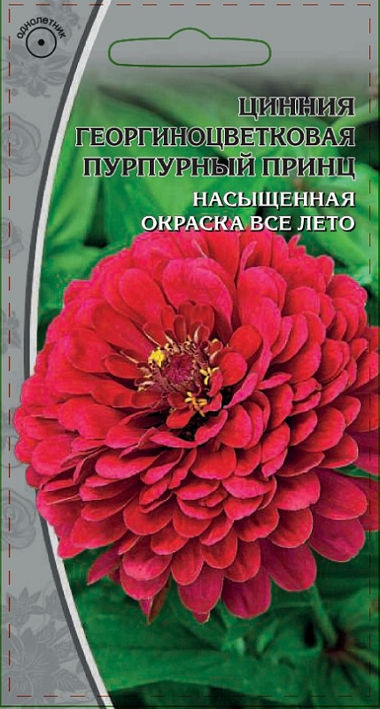 Цинния георгиноцветковая Пурпурный принц 0,5 гр