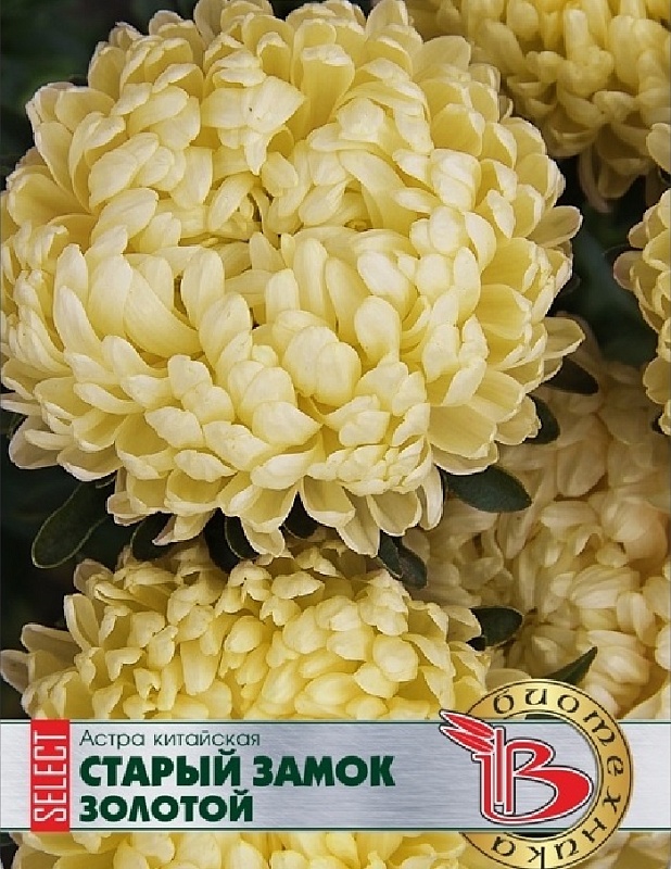 Астра Старый замок селект Золотой 30 шт