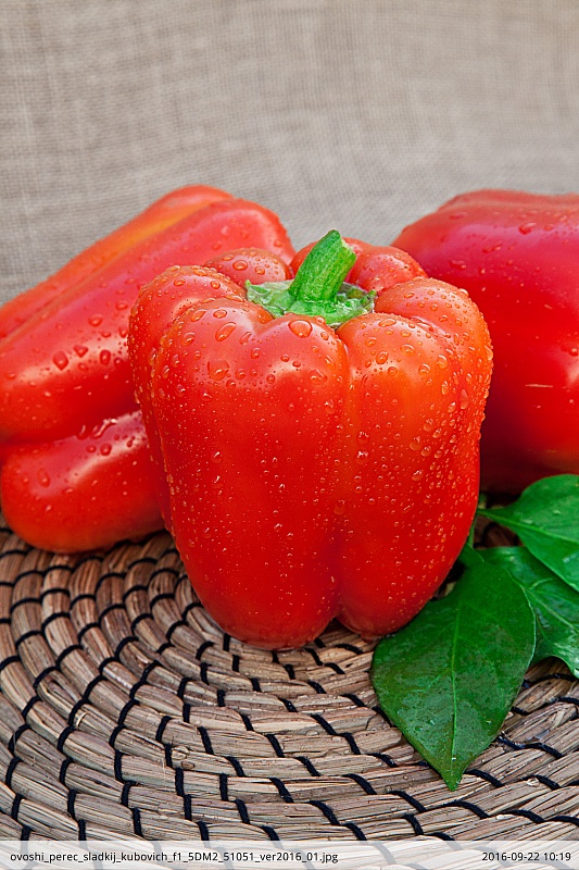 Перец сладкий Кубович F1 (Селекция "ВХ") 0,1 гр цв.п