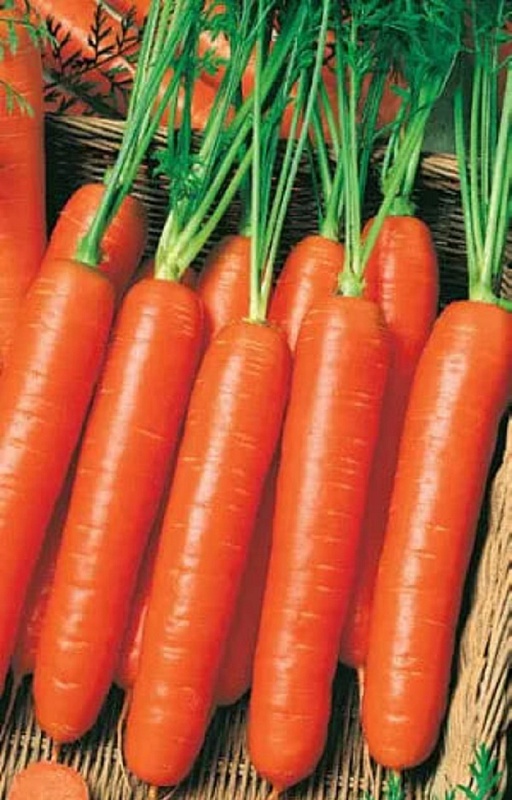 Морковь Нантская отборная (УД) 2 гр цв.п.
