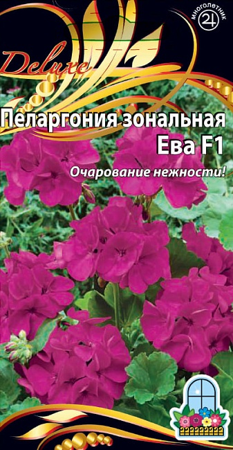 Пеларгония зональная F1 Ева 5 шт      