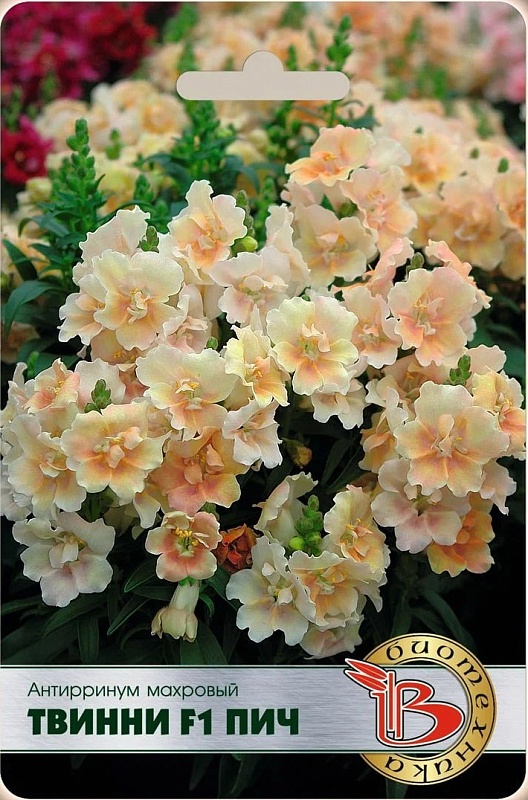 Львиный зев (антирринум) Твинни F1 Пич (махровый) 15 шт