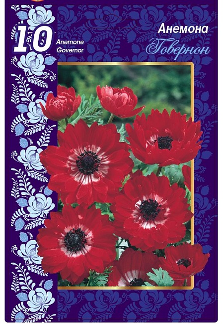 Анемона Говернон
