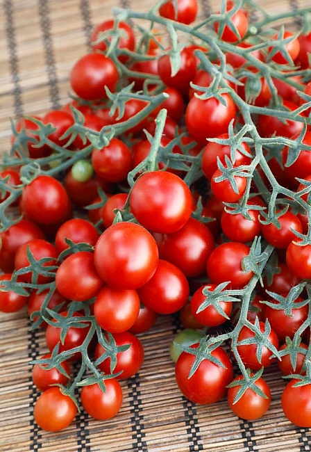 Томат Сладкая семейка (черри)(Селекция "ВХ") F1 0,05 гр цв.п