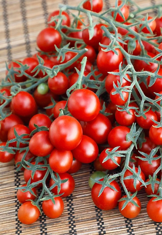 Томат Сладкая семейка (черри)(Селекция "ВХ") F1 0,05 гр цв.п