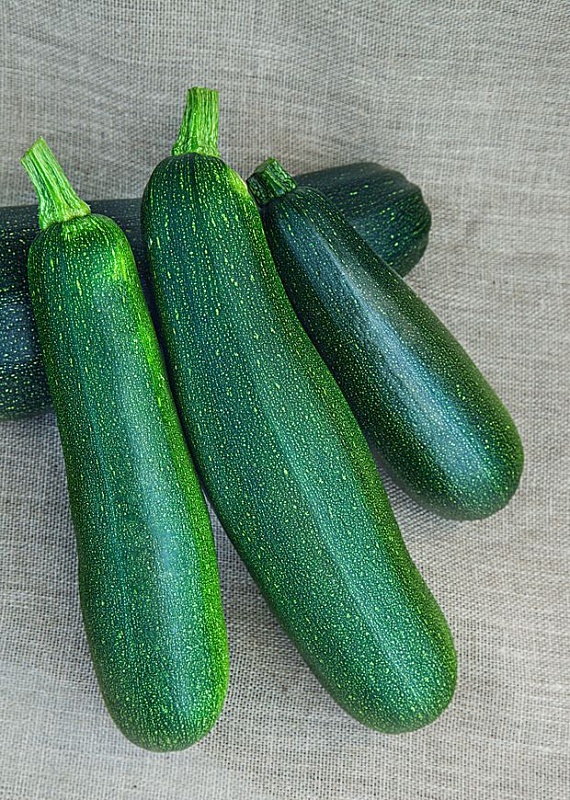 Кабачок Цукини Бизон 1 гр цв.п