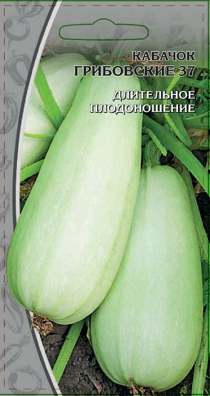 Кабачок Грибовские 37  1 гр цв.п