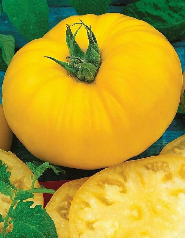 Томат Гигант лимонный (Селекция "ВХ") F1 0,05 гр цв.п