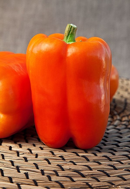 Перец сладкий Рыжик F1 (Селекция "ВХ") 0,1 гр цв.п.КЭШБЭК 25%