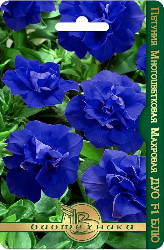 Петуния Дуо Блю махровая F1 10 шт 