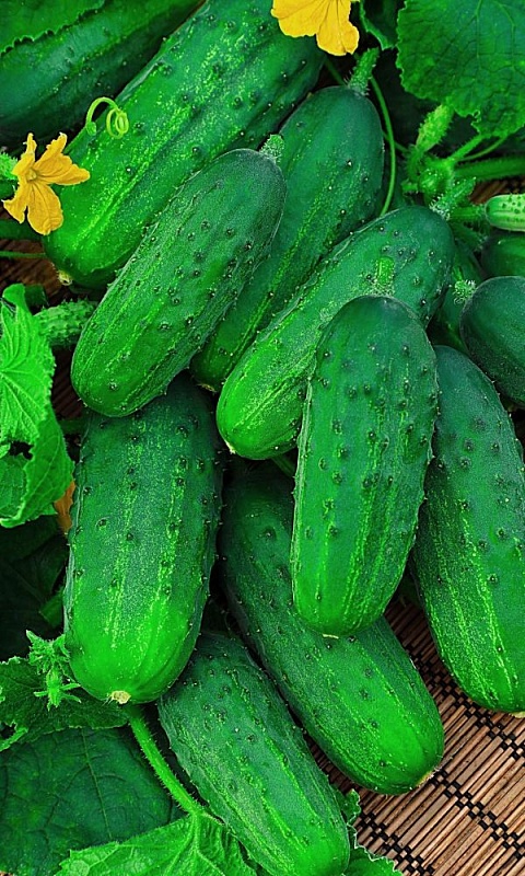 Огурец Гарант-корнишон (УД) 12 шт цв.п