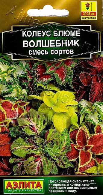 Колеус блюме Волшебник, смесь сортов (Аэлита) 5 шт
