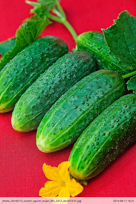 Огурец Буян F1 0,25 гр цв.п.