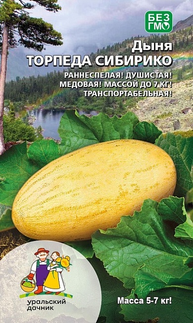 Дыня Торпеда сибрико (УД) 10 шт цв.п.