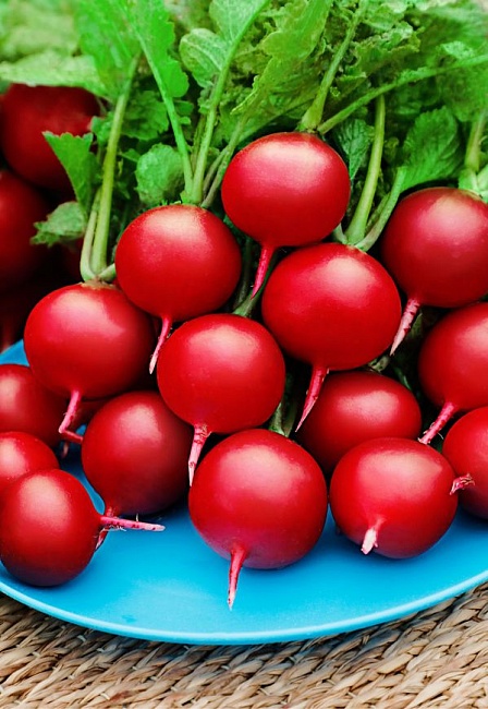 Редис Фотон (Селекция "ВХ") 2 гр цв.п.