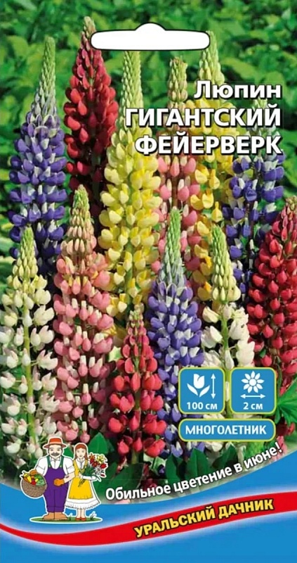 Люпин Гигантский Фейерверк (УД) 12 шт цв.п.