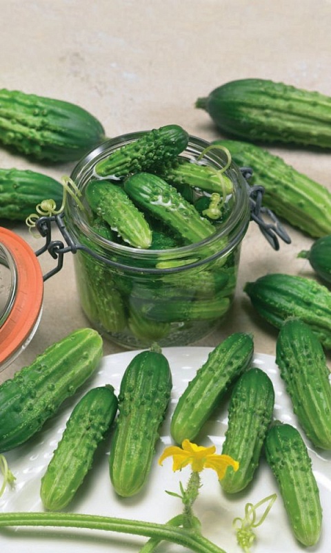 Огурец УСК Ультраскороспелый (Plant) Блистер (УД) 12 шт