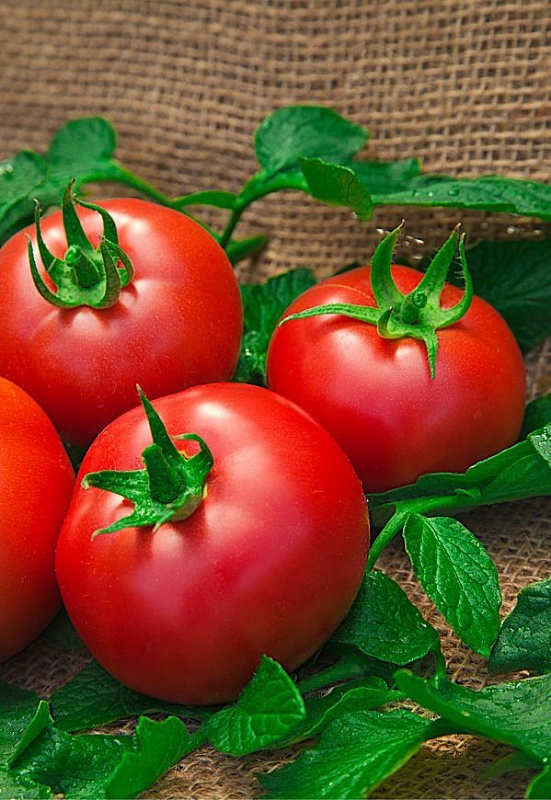 Томат МАЛИНОВАЯ СЛАДОСТЬ F1 и Редис ГРАНАТОВЫЙ ШАР