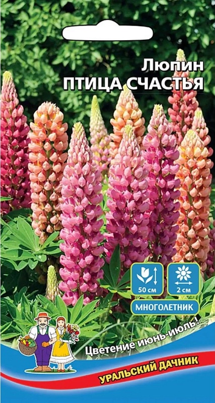 Люпин Птица счастья (УД) 10 шт цв п