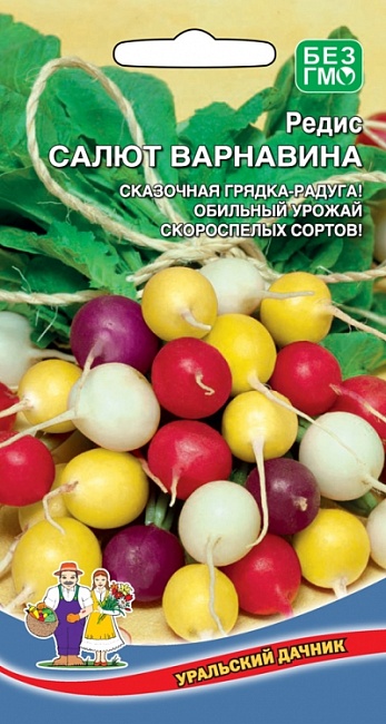 Редис Салют Варнавина (УД)  2 гр. цв.п.