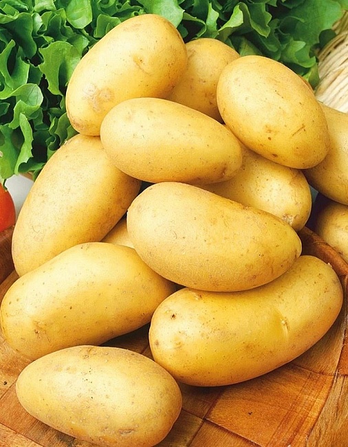Картофель Добрыня, суперэлита 2 кг