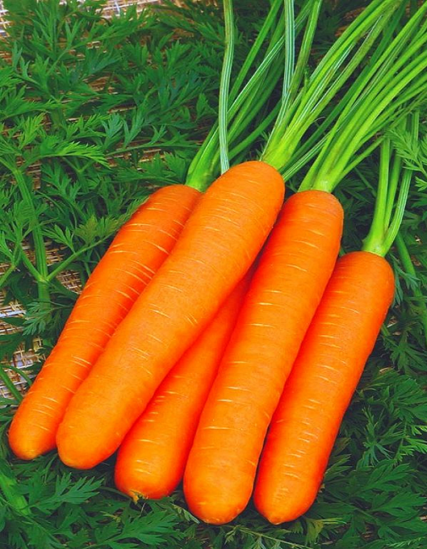 Морковь Рахат-Лукум 1 гр цв.п УД (Штайнерт)