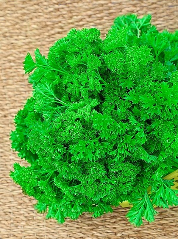 Петрушка кудрявая Ярославна 3 гр цв.п.(Функциональное питание)