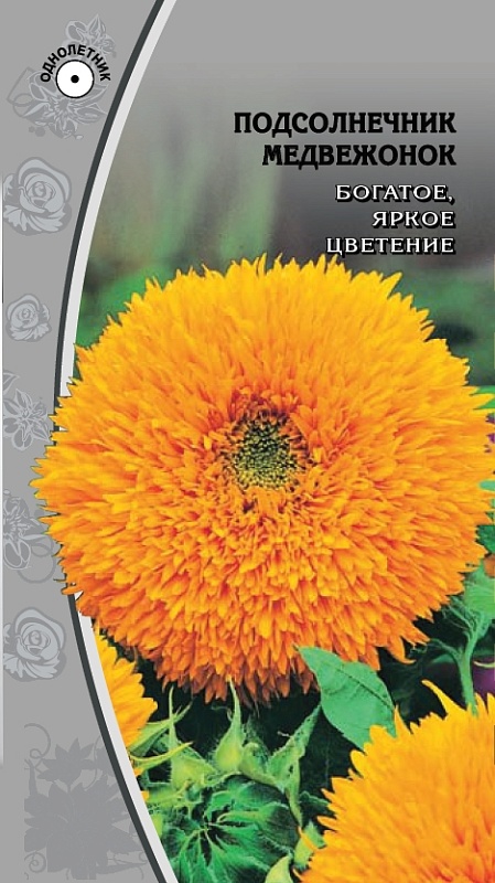 Подсолнечник Медвежонок 1 гр