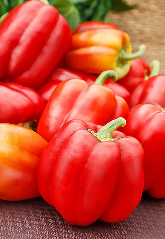 Перец сладкий Махараджа F1 (Селекция "ВХ") 0,1 гр цв.п.