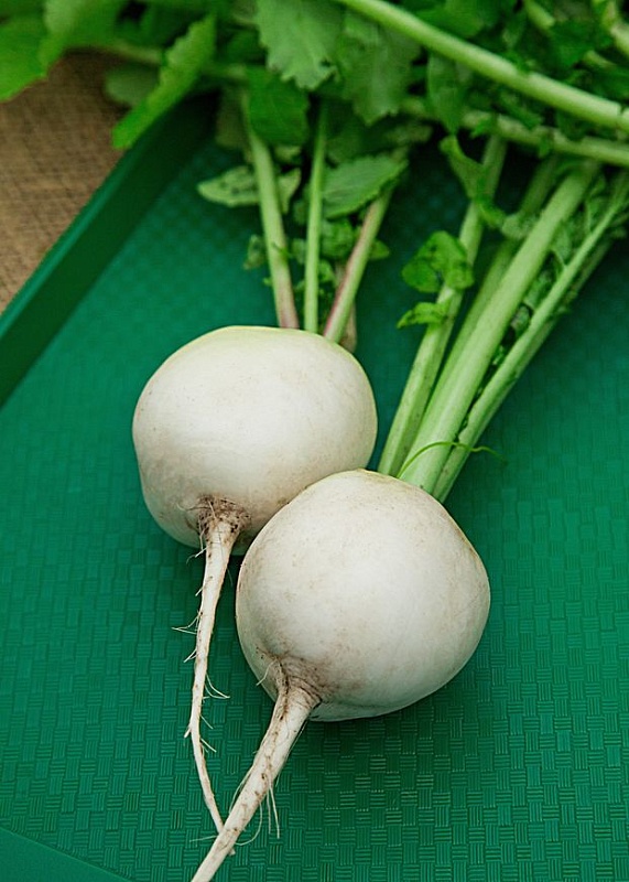 Дайкон Саша 1 гр б.п.