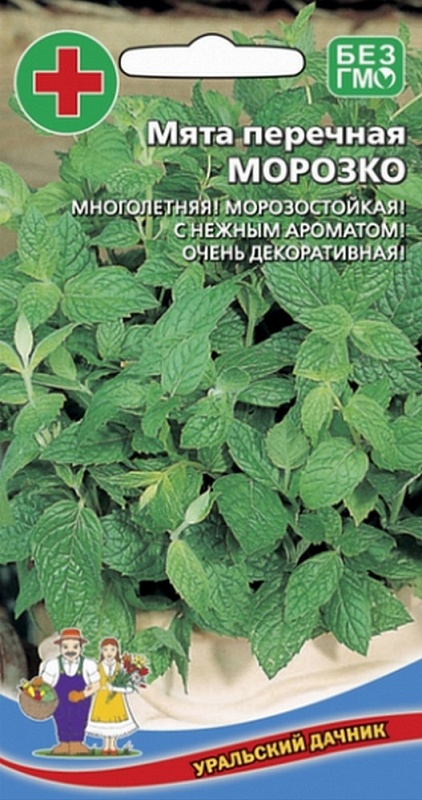 Мята Морозко - перечная (УД) 0,05 гр цв п