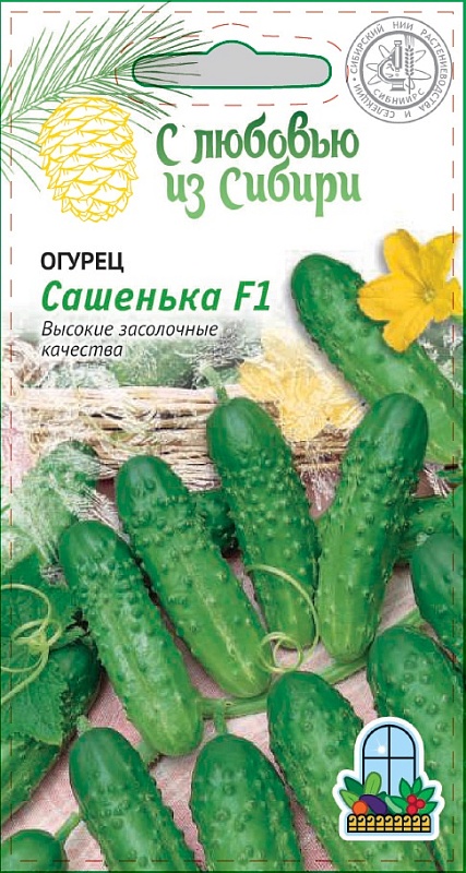 Огурец Сашенька F1 0,25г цв.п (Сибирская серия)