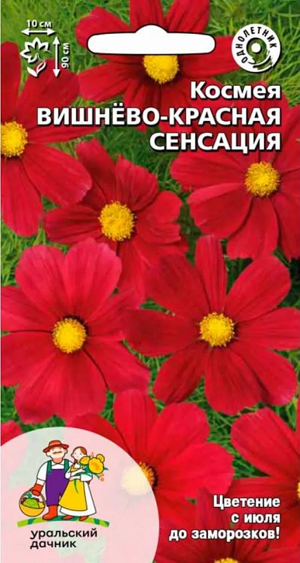 Космея Вишнево-красная сенсация (УД) 0,15 гр цв п