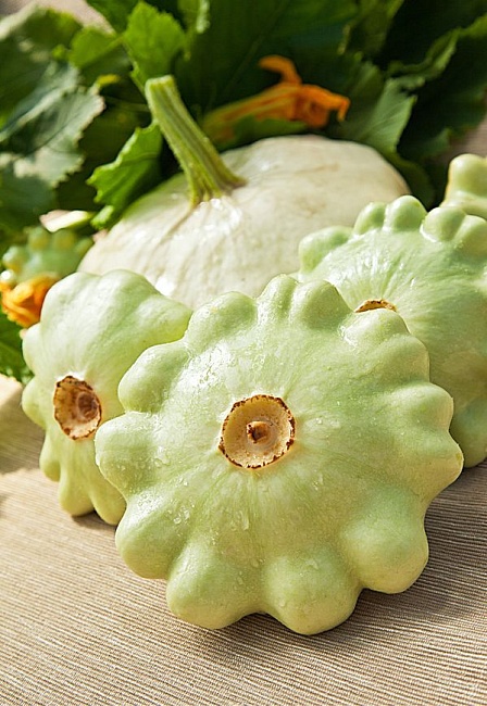 Патиссон Диск 2 гр цв.п